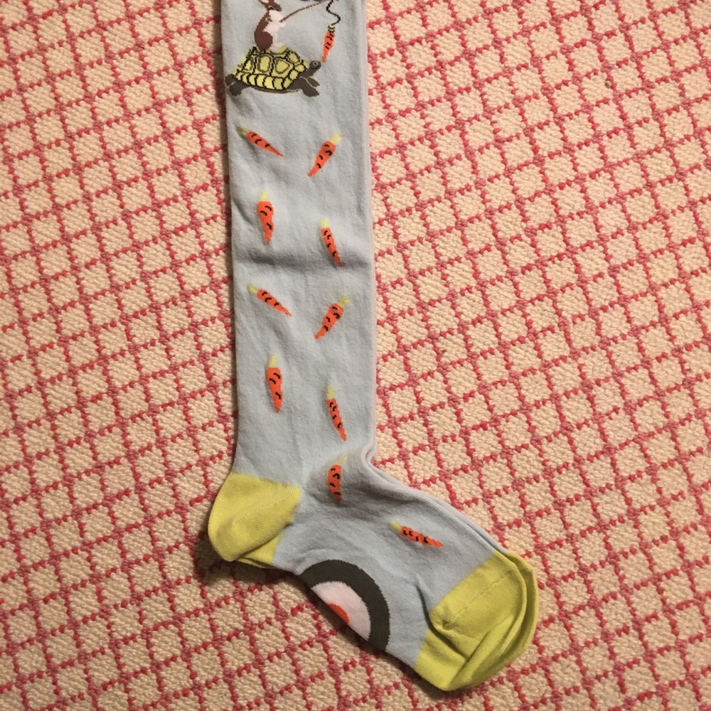 NWT Tortoise and the hare socks